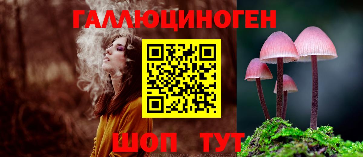 закладки  Галлюциногенные грибы ЛСД  Вход с VPN  Курганинск 