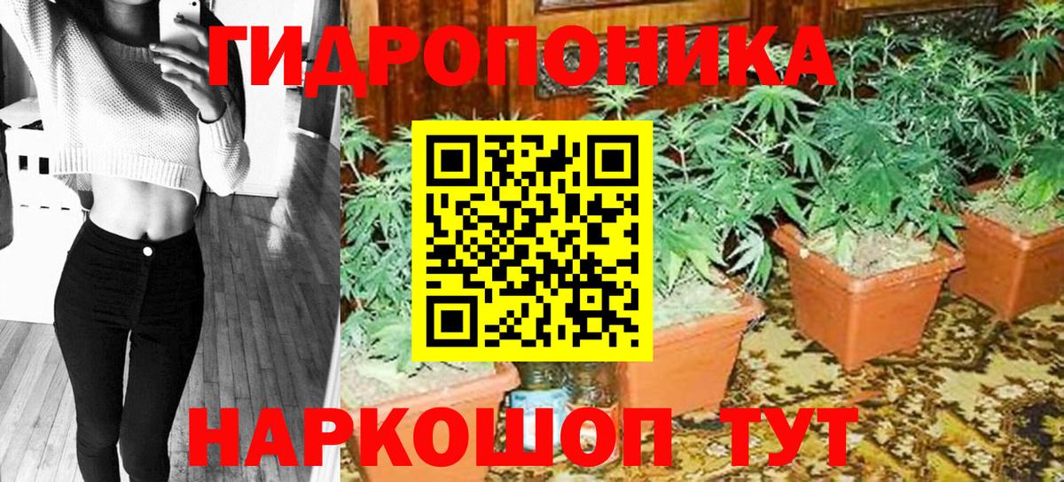 Курганинск  Шишки марихуана тримм  Шишки марихуана марихуана  Канабис план  Вход с VPN 